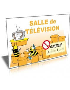 Salle de télévision-2